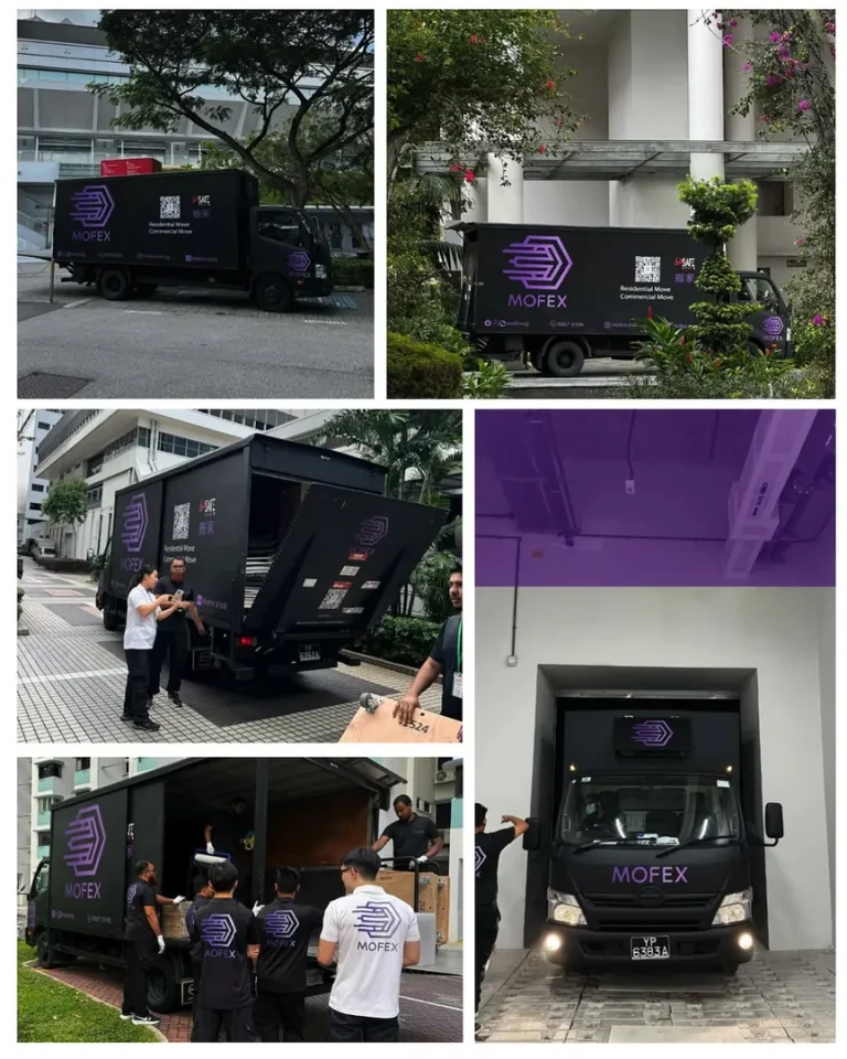 Collage of Mofex lorries and crew on moving jobs