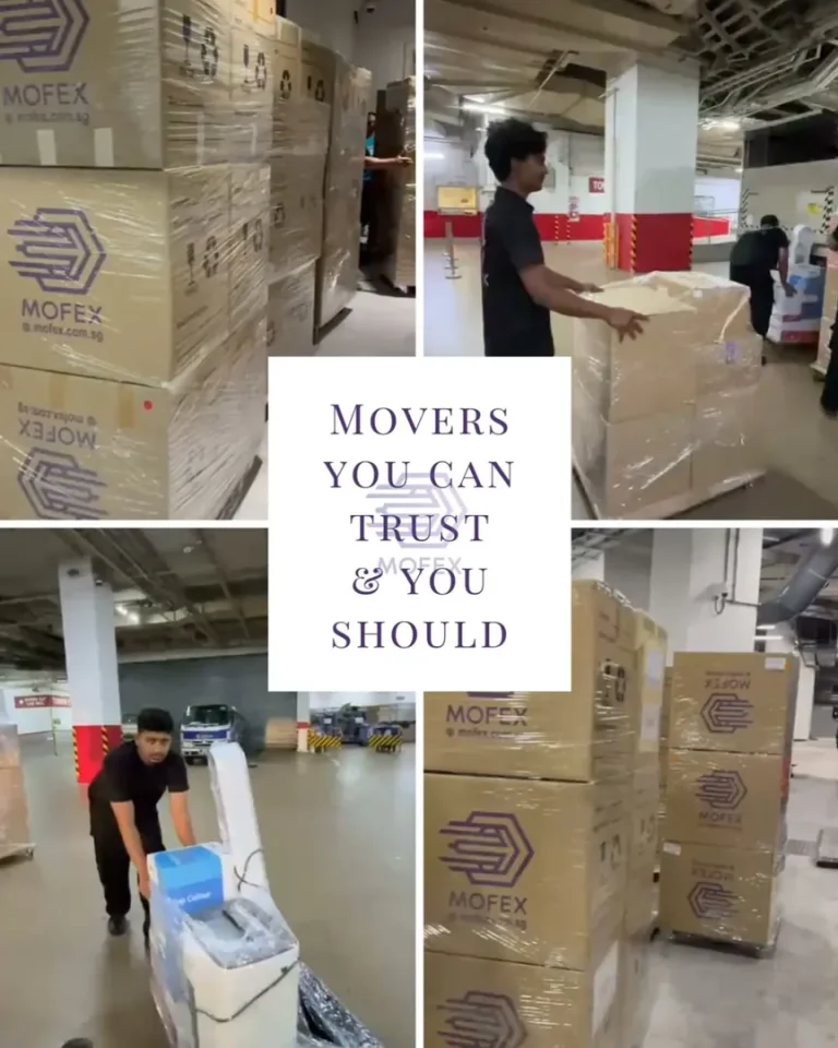 Collage of the Mofex crew moving cartons, Movers you can trust
